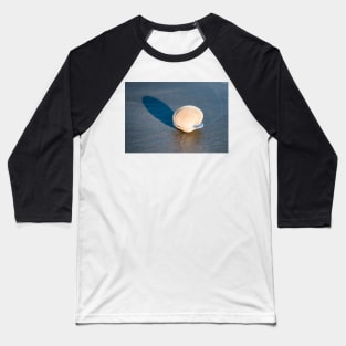 Close-up of Dosina zelandica or ring shell. Baseball T-Shirt